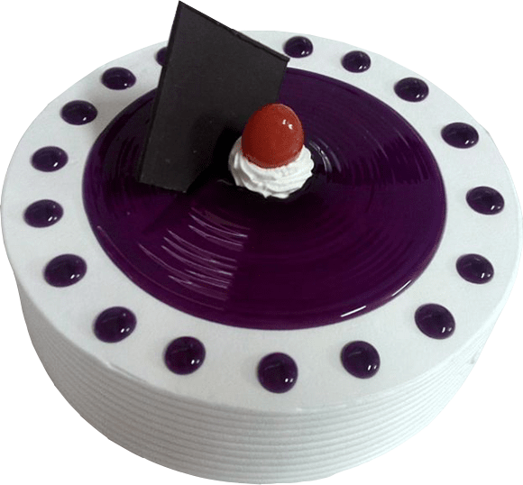 Special Blueberry cake 